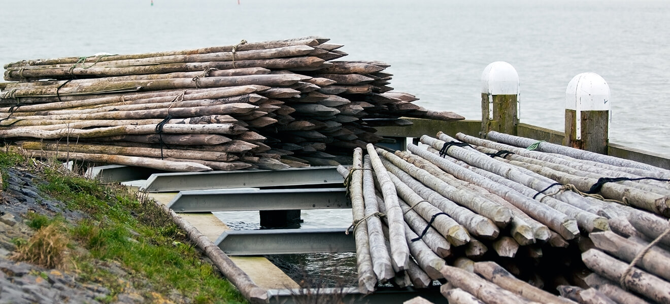 Pile driving timber piles